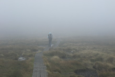 Wandern im Nebel